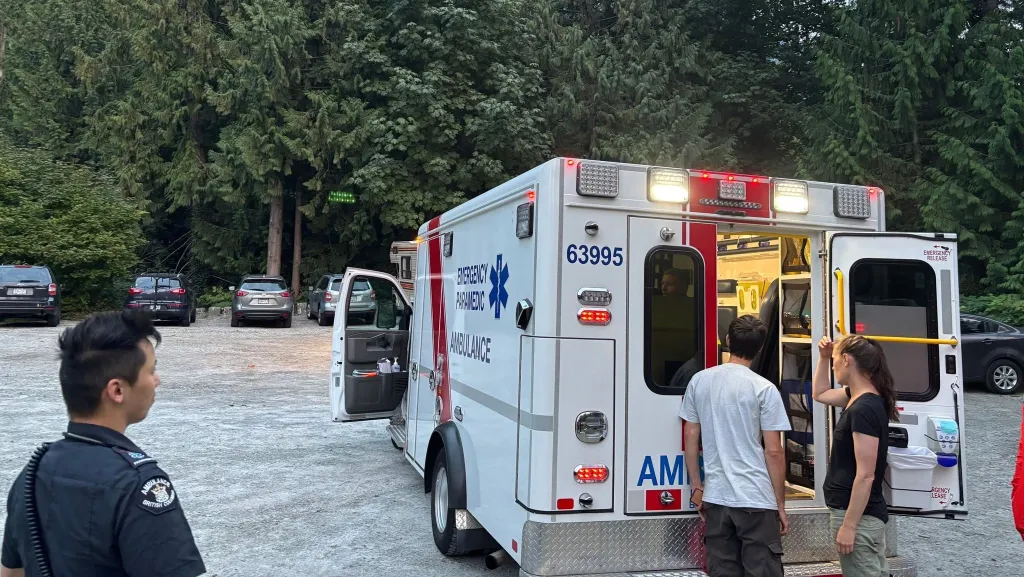 Helicopter rescue for B.C. climber stung by wasps 100 times