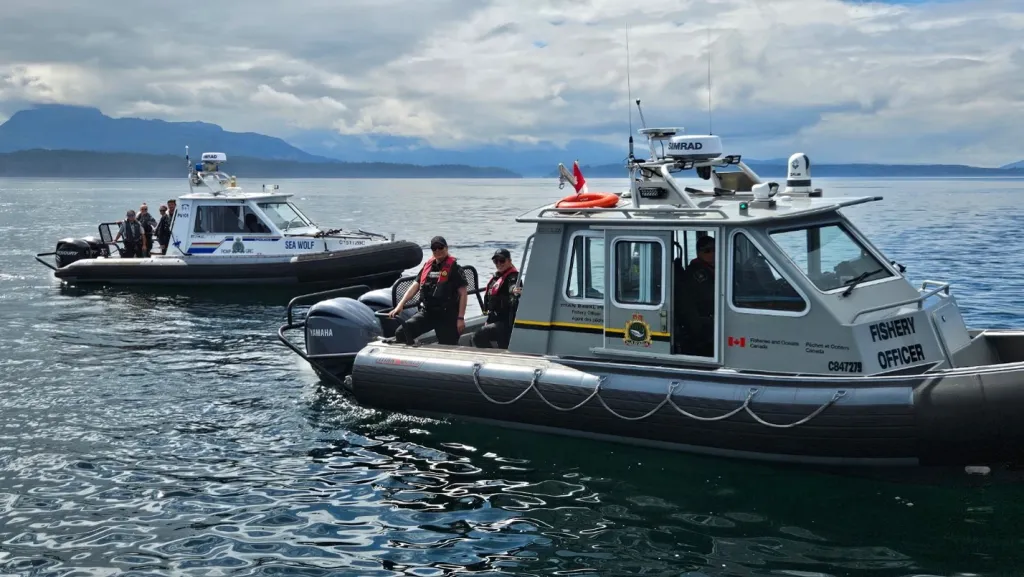 13 boaters ticketed during North Island Salmon Days