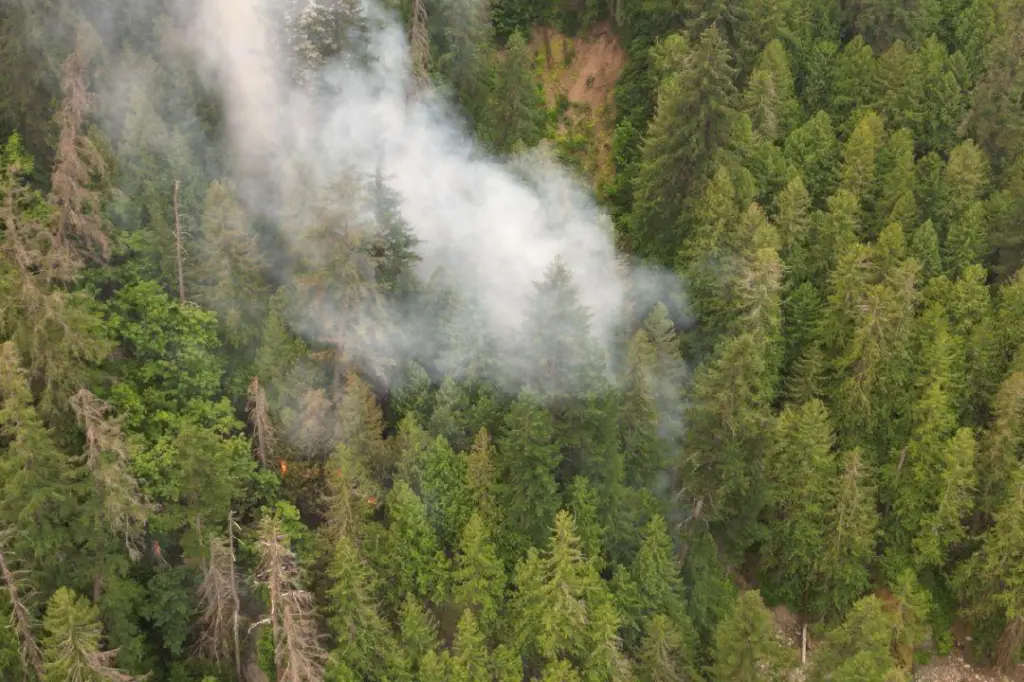 Wildfire-related evacuation alert cancelled for areas including Boston Bar